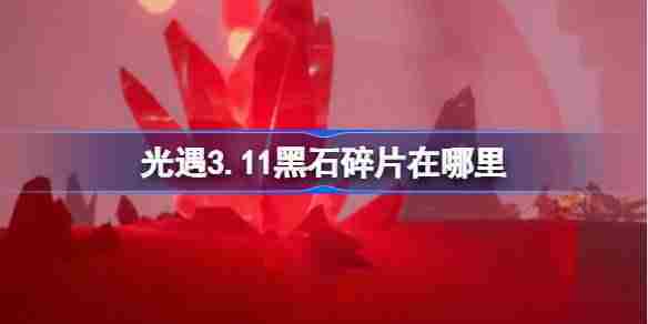 光遇311黑石碎片位置查找攻略