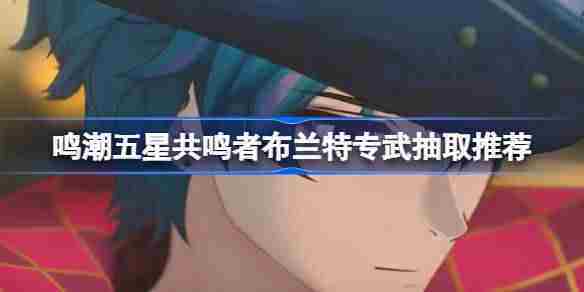 鸣潮布兰特五星专武抽取方法及性价比分析
