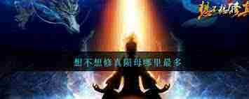想在不想修真中高效刷取陨母位置方法