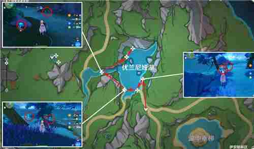 原神54版本湖光铃兰全收集攻略路线