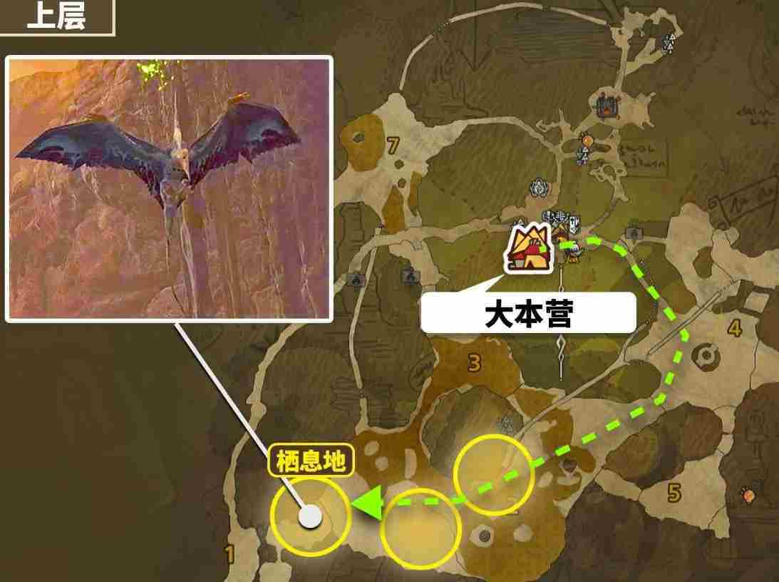 怪物猎人荒野翼龙皮获取攻略
