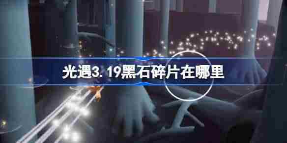 光遇319黑石碎片位置查找攻略