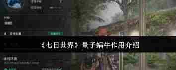 七日世界量子蜗牛功能介绍