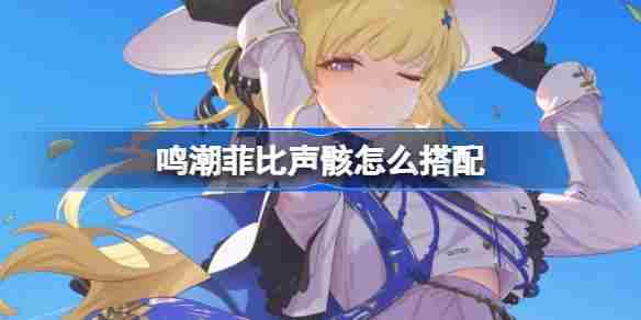 鸣潮菲比声骸搭配方法及角色介绍