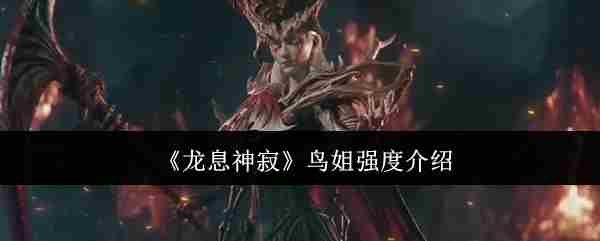 龙息神寂鸟姐实力评估与强度建议