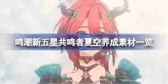 鸣潮夏空五星共鸣者养成素材全览