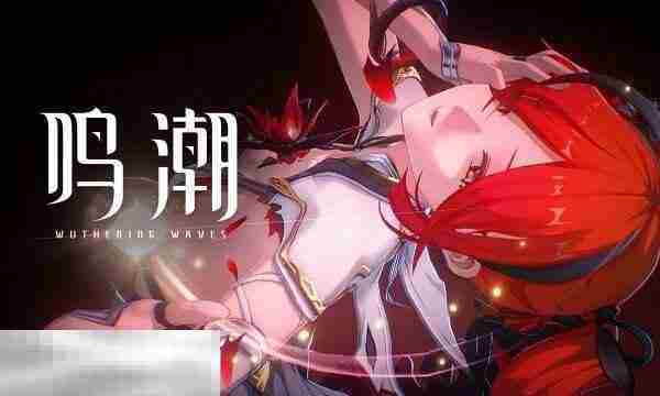 鸣潮2.2版本椿技能升级加点顺序介绍