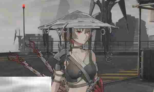 无限机兵猎人轻甲鱼鹰斗笠服装一览及全服展示