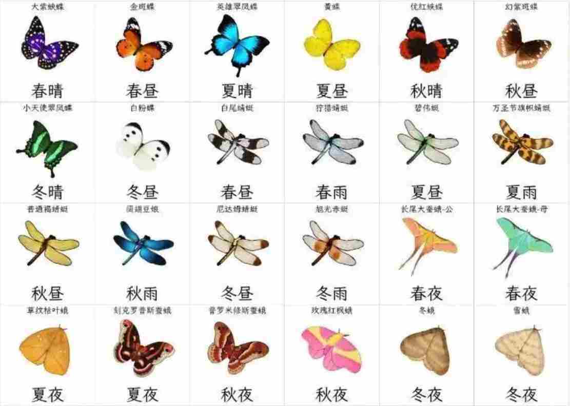 开放世界收藏品完整列表与获取时机汇总