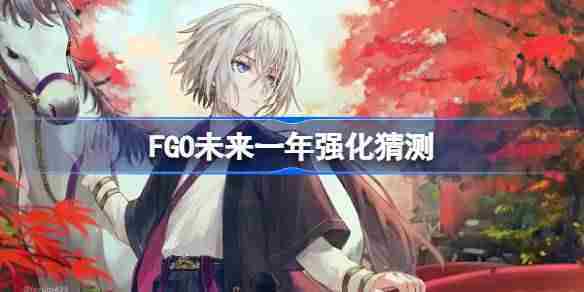 FGO未来一年强化角色预测方法