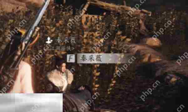 燕云十六声秦采薇结交攻略对话技巧介绍
