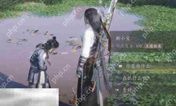 燕云十六声靳小宝结交攻略与对话技巧
