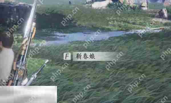 燕云十六声靳春娘结交攻略与对话技巧