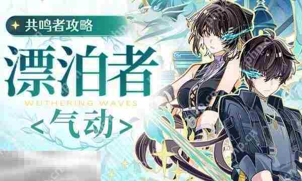 鸣潮22版本漂泊者气动角色评价与培养攻略
