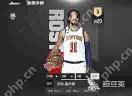 美职篮全明星西部阵容选拔攻略