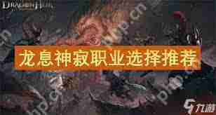 龙息神寂职业选择推荐方法