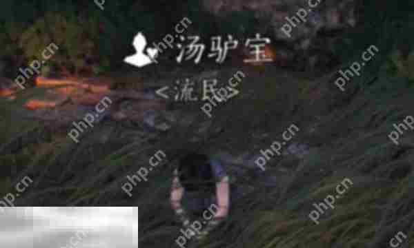 燕云十六声汤驴宝结交攻略介绍
