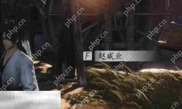 燕云十六声赵威业结交攻略与对话技巧