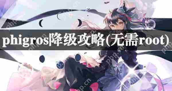 Phigros游戏降级教程无需Root权限