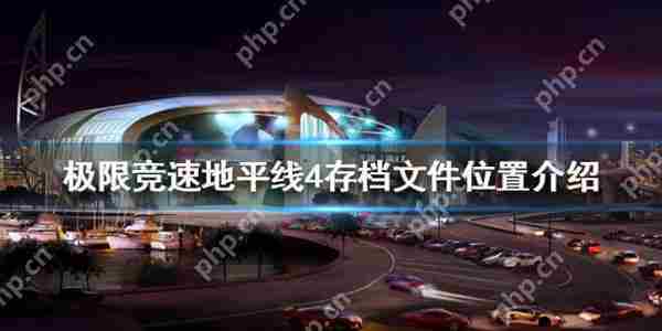 极限竞速地平线4存档位置查询