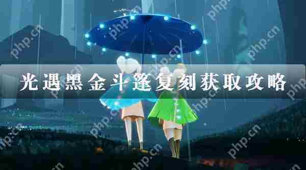 光遇黑金斗篷复刻入手攻略