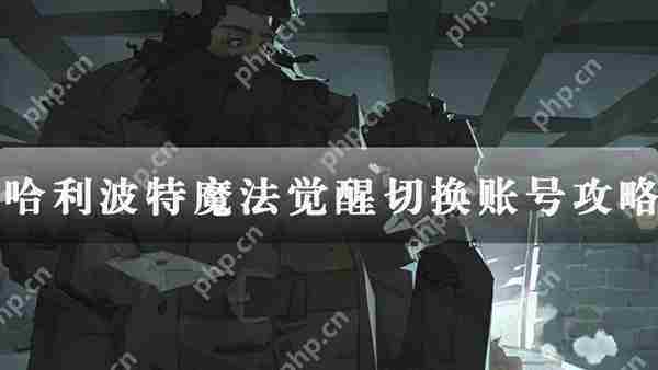 哈利波特魔法觉醒账号切换方法