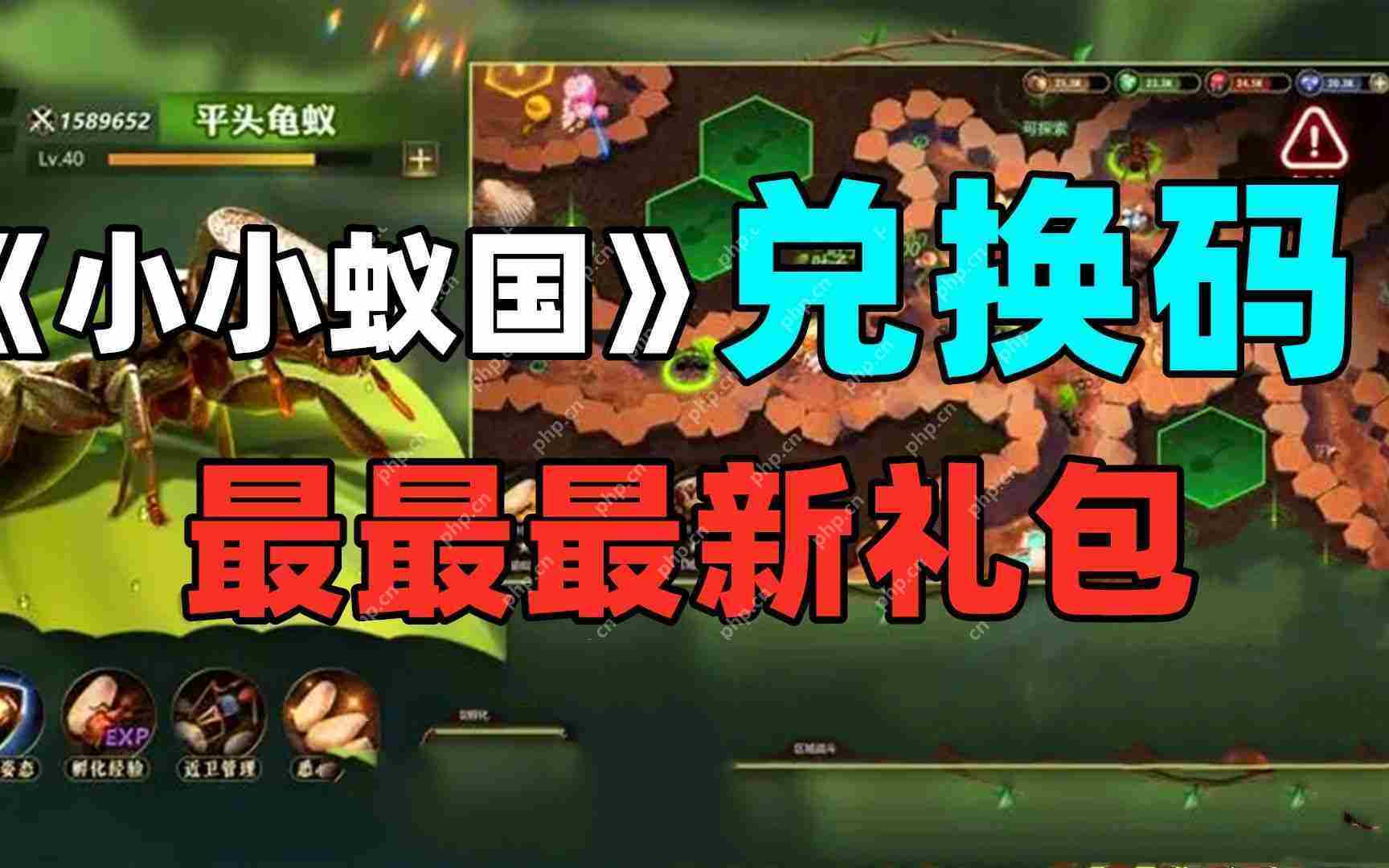 2024最新小小蚁国兑换码汇总