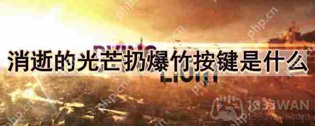 消逝的光芒扔爆竹快捷键介绍及使用方法