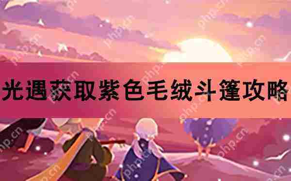 光遇紫色毛绒斗篷获取攻略