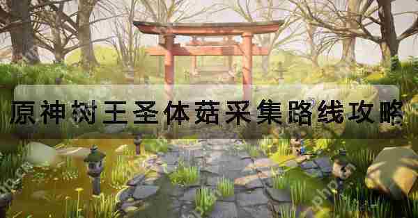 原神高效采集树王圣体菇完整方法
