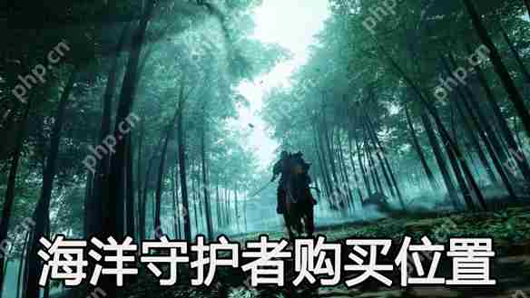 对马岛之魂导演剪辑版海洋守护者哪里买