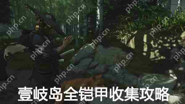 对马岛之魂导演剪辑版壹岐岛全铠甲速览方法