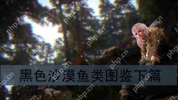 黑色沙漠鱼类图鉴完整方法下篇