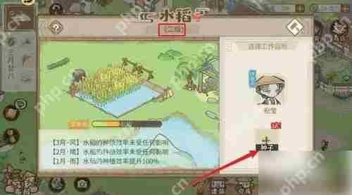 解忧小村落水葱种植攻略方法
