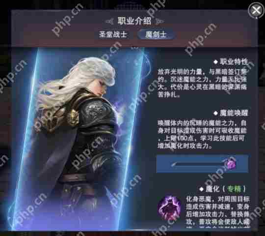 新神魔大陆魔剑士职业技能攻略推荐
