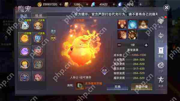 新神魔大陆战宠培养攻略