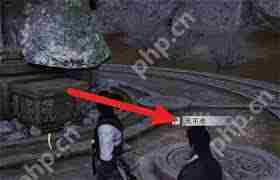 燕云十六声荆朝阳聊天攻略介绍