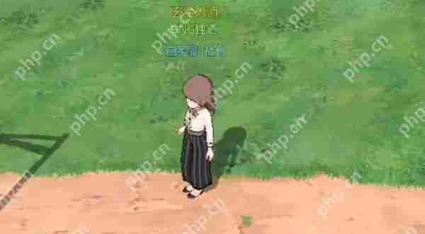 小森生活unknown error解决方法探讨