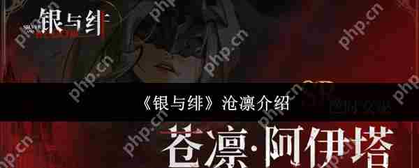 银与绯沧凛评测与推荐方法