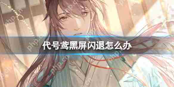代号鸢黑屏闪退解决方法
