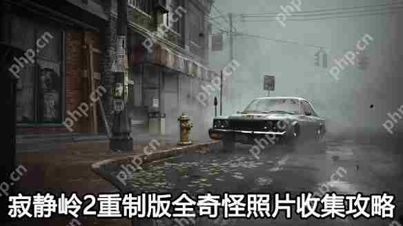 寂静岭2重制版神秘照片全收集攻略
