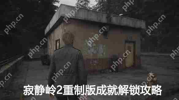 寂静岭2重制版成就全解锁攻略