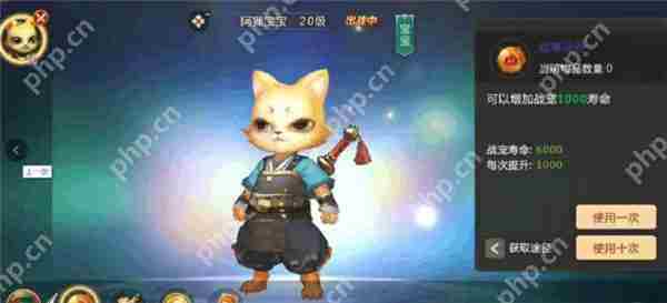绝世仙王兽神系统全介绍攻略