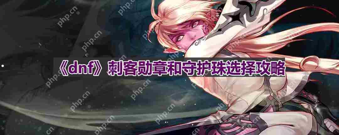 DNF110版本刺客守护珠与勋章选择攻略