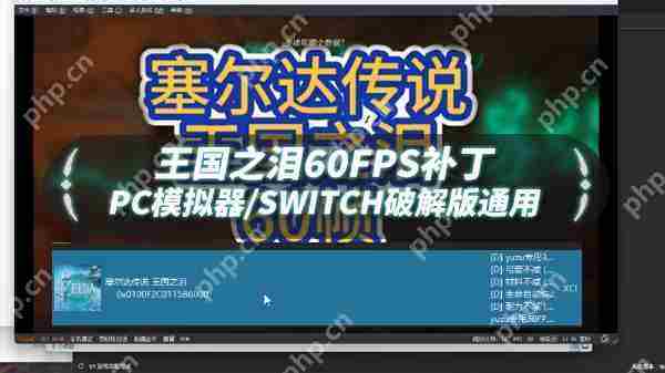 塞尔达传说王国之泪60帧补丁使用教程