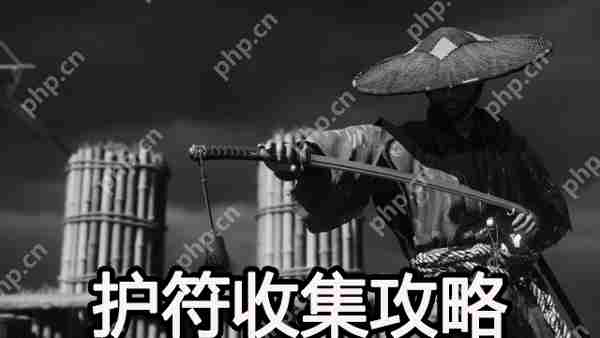 对马岛之魂导演剪辑版护符完整收集方法