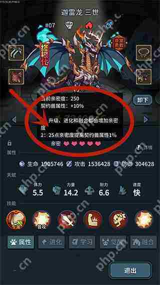 提灯与地下城宠物亲密度快速提升攻略