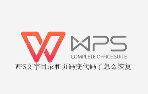WPS文字目录页码变代码解决方法