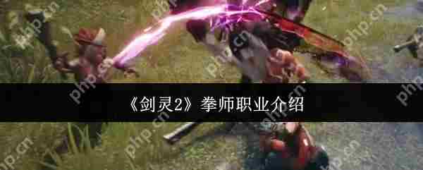 剑灵2拳师职业深度评测与攻略推荐