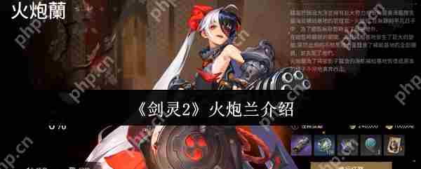 剑灵2火炮兰实战评测与配置方法